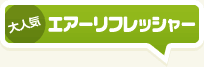 大人気！エアーリフレッシャー