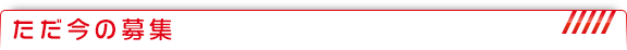 ただ今の募集